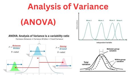 how to read anova results|Analysis of variance (ANOVA) .